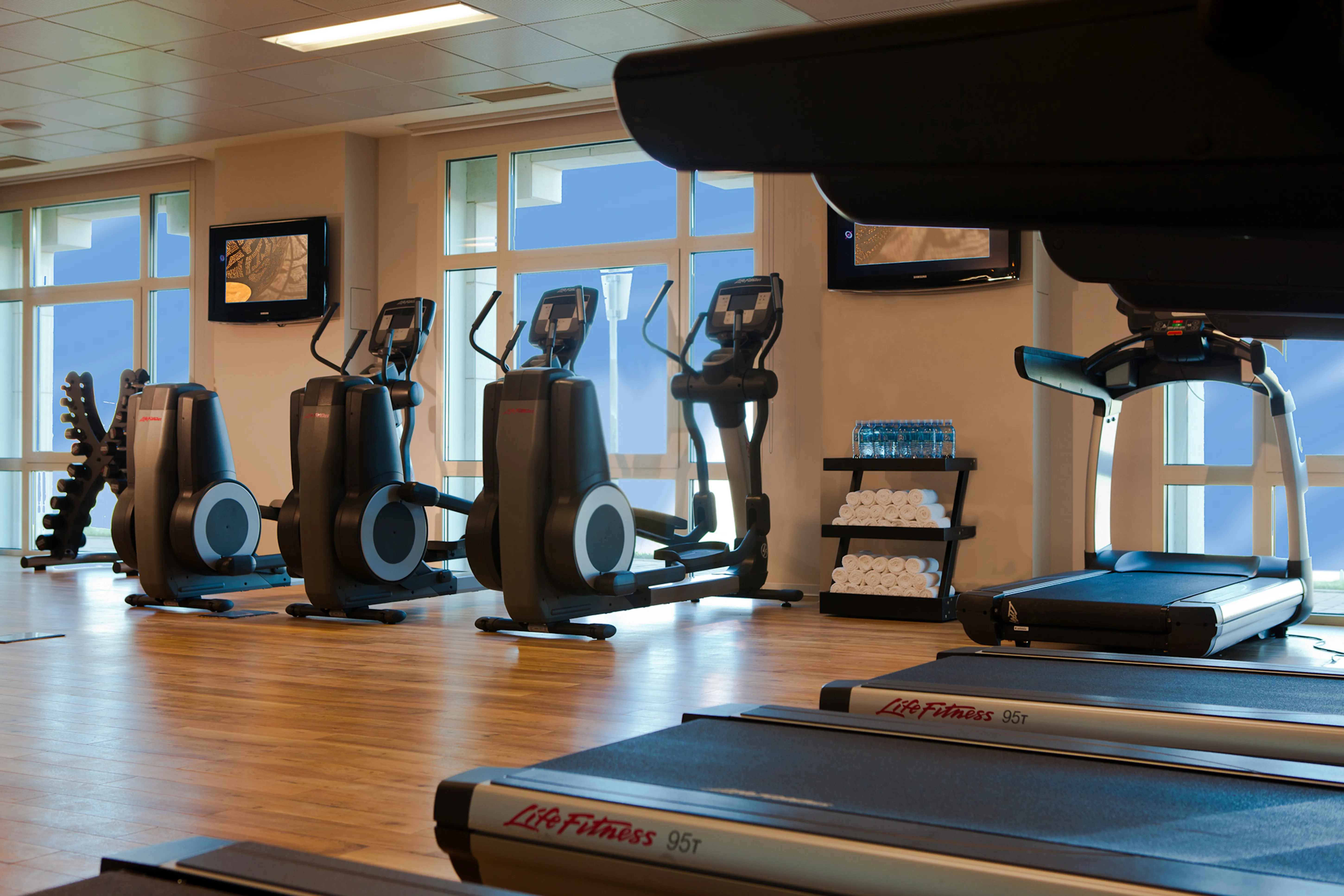 Fitness